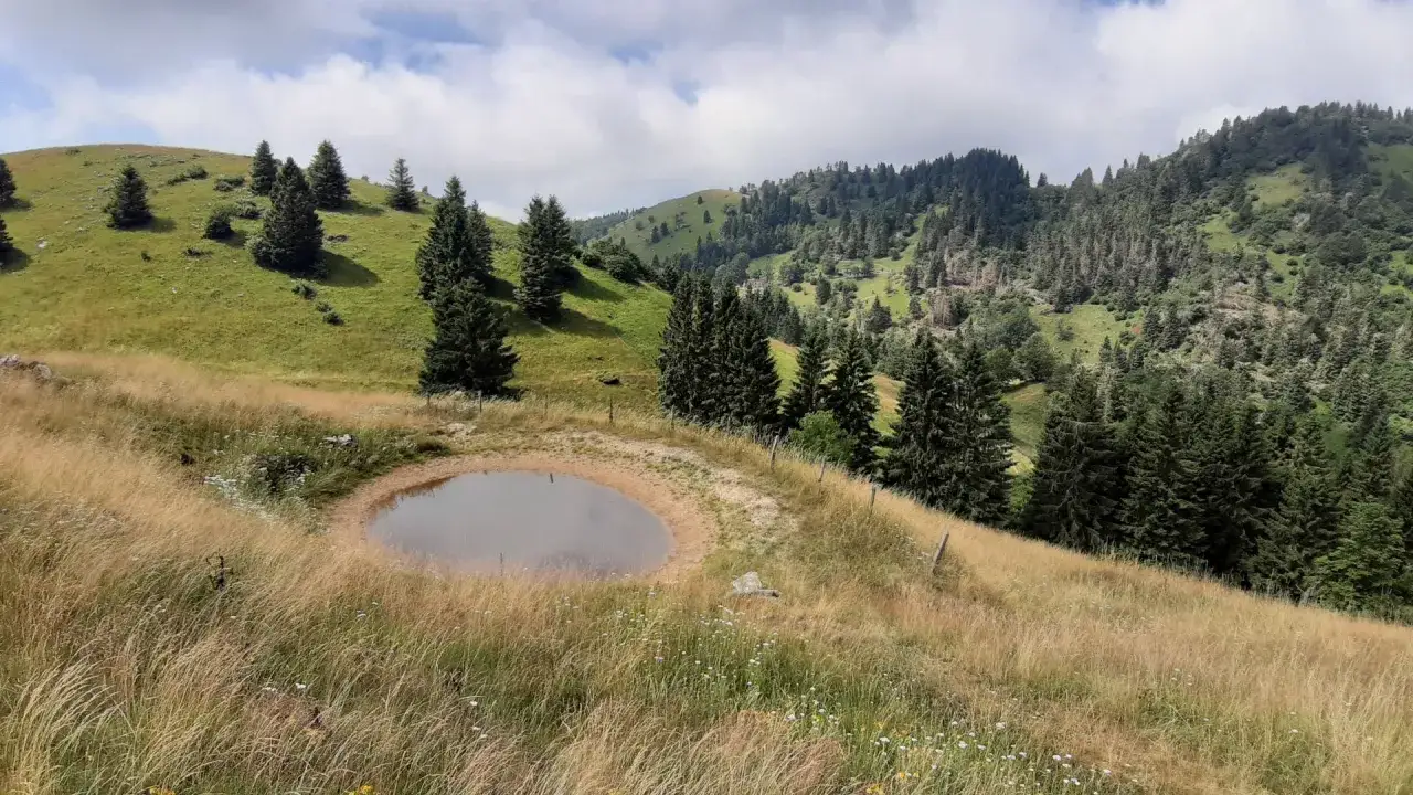 Un piccolo stagno in un prato fiorito, con alberi e colline verdi sullo sfondo. Ideale per escursioni prealpi venete.