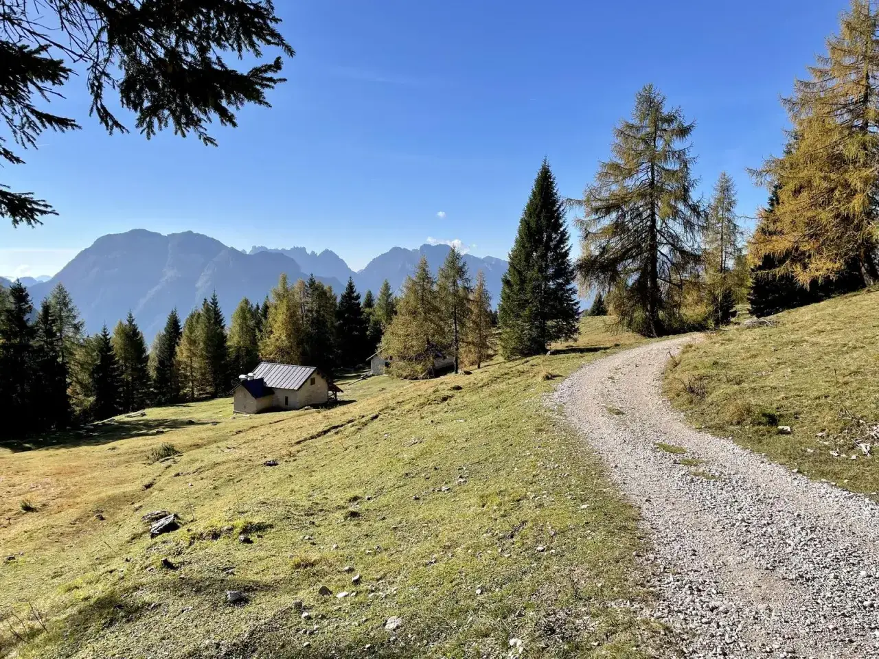 Sentiero ghiaioso sale verso un piccolo rifugio alpino, circondato da larici dorati e abeti, con le maestose cime del mont alt di Framont all'orizzonte.