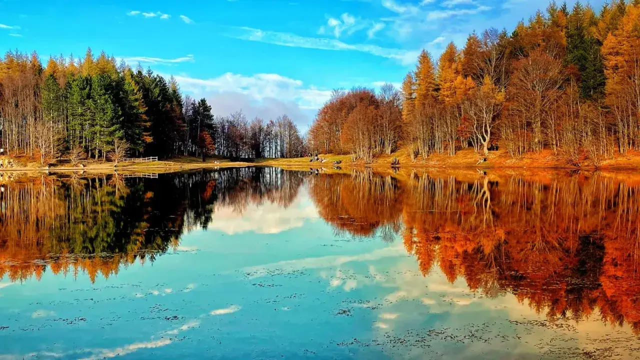 Specchio d'acqua sereno riflette alberi autunnali e cielo azzurro. Un angolo di pace tra i laghi dell'Emilia Romagna.
