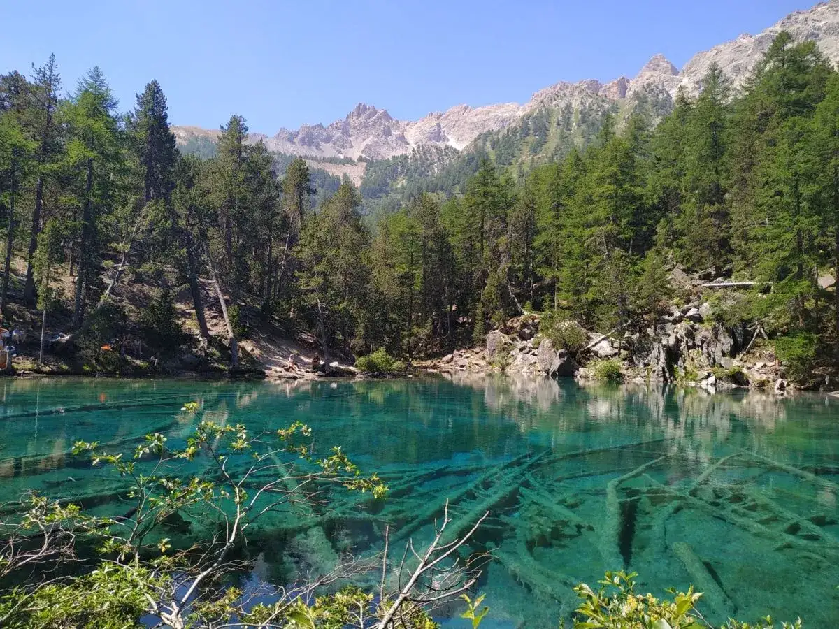 Acque cristalline di uno dei laghi del Piemonte, con tronchi sommersi e montagne sullo sfondo.